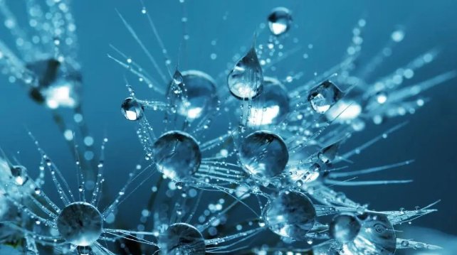 114847_311937_gsdt.png image.png