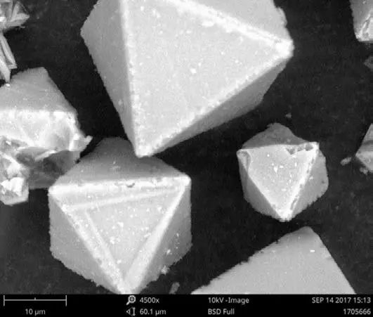 112656_116176_gsdt.jpg 5.jpg